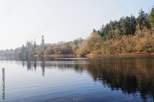 lake in autumn