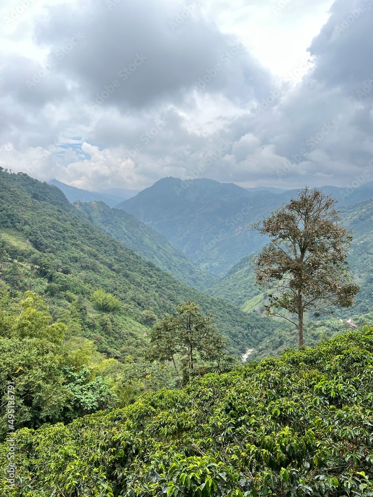 Fototapeta premium view