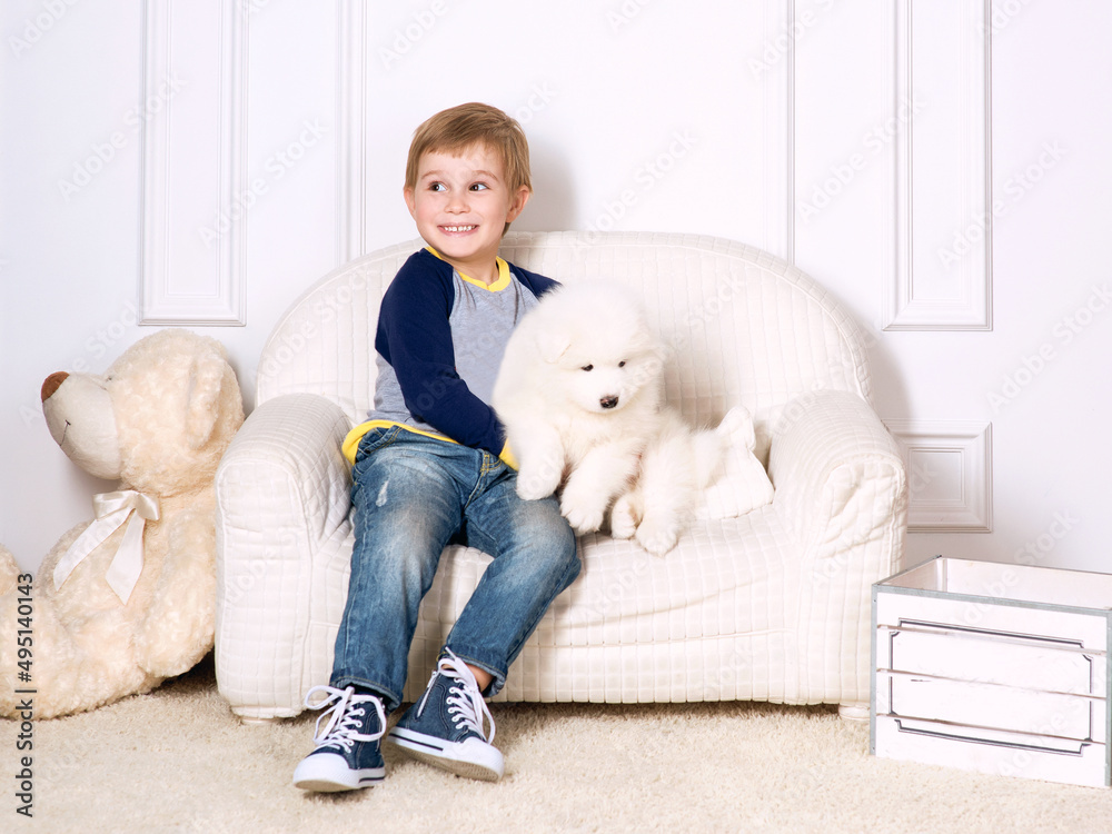 smiling little boy three years old playing with white puppies of Samoyed in studio smiling little boy three years old playing with white puppies of Samoyed in studio