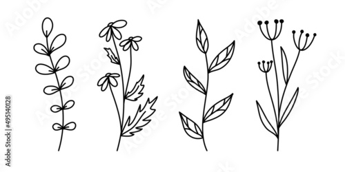 Set of botanical line art floral leaves, plants. Hand drawn sketch branches isolated on white background. Vector illustration

