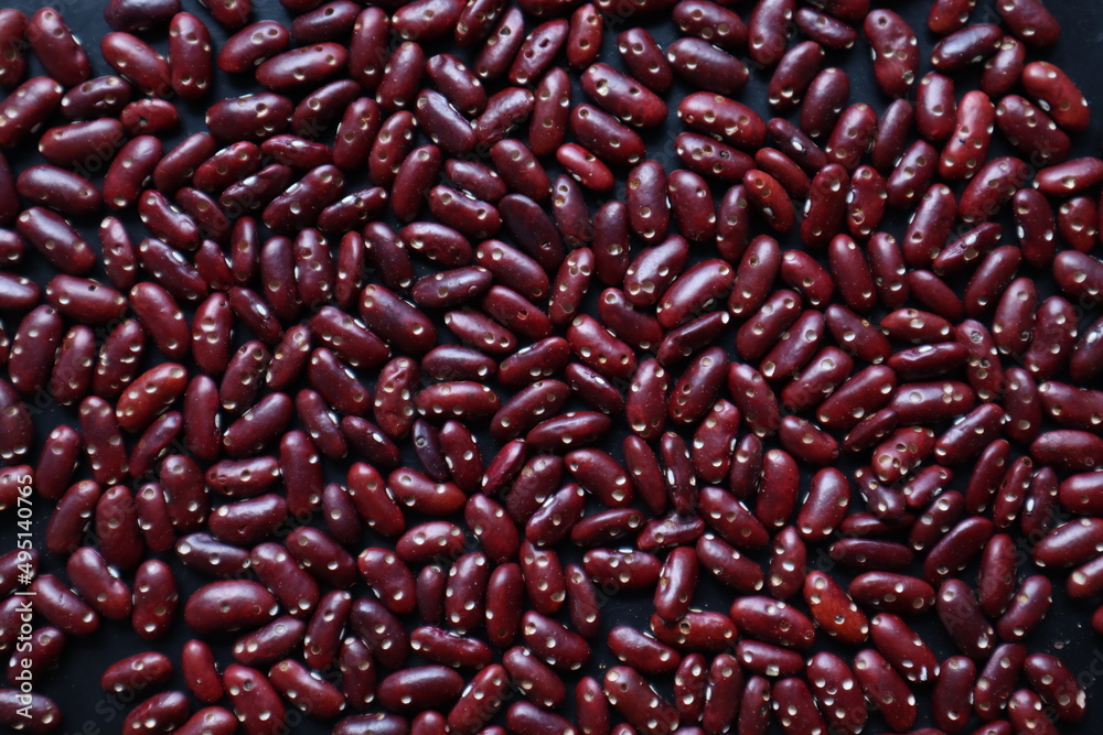 Background of grains of beans laying on a table to inspect bite marks caused by pests destroying pea seeds being prepared for planting. Organic red bean seeds destroyed by insect pests Background of grains of beans laying on a table to inspect bite marks caused by pests destroying pea seeds being prepared for planting. Organic red bean seeds destroyed by insect pests