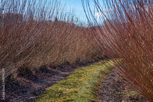 Landscape of wicker sown fields