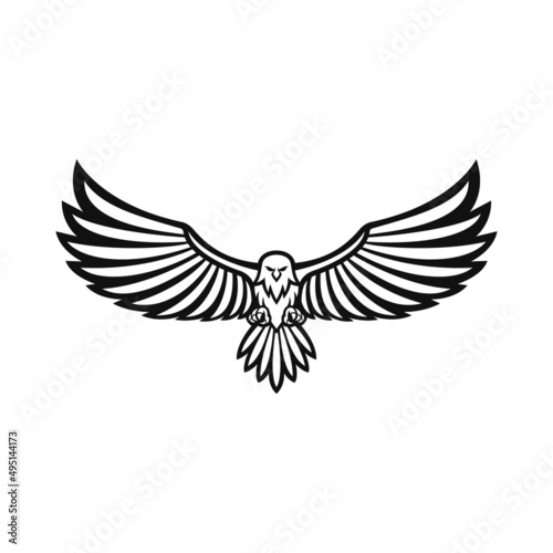 eagle vector design for logo icon