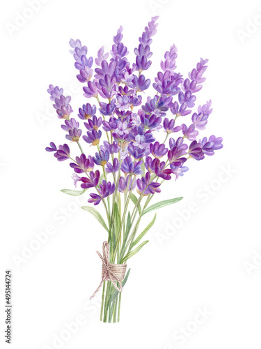 Lush bouquet of lavender flowers  watercolor illustration