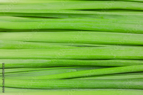 Background image: Fresh green onion leaves of the new crop. Raw food. Diet food.