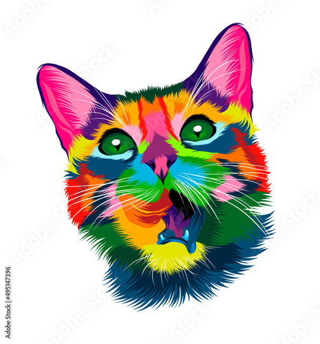 Abstract Kitten face portrait, cat face from multicolored paints. European cat. Colored drawing. Portrait of a muzzle of a kitten, muzzle of a cat. Vector illustration of paints