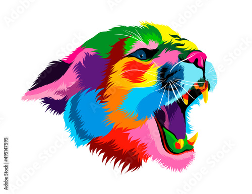 Abstract puma, cougar head portrait from multicolored paints. Colored drawing. Vector illustration of paints