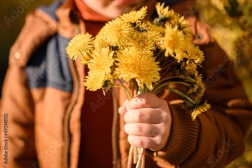 Bouquet of yellow dandelions in the boy's hand