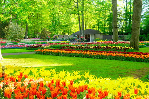 fresh lawn with flowers