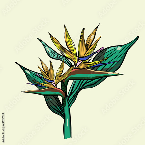 Bird of paradise flower in flat technique on a yellow background vector illustration 