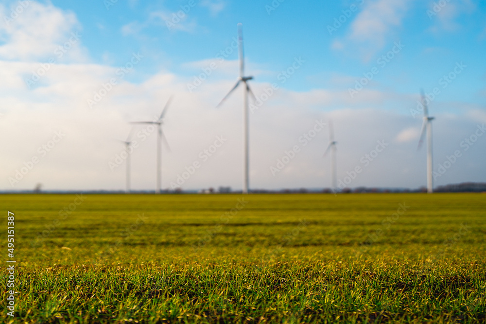 farmy wiatrowe w polsce - grunt rolny pod budowę farmy wiatrowej - rolnicy i plony - obrazy, fototapety, plakaty 