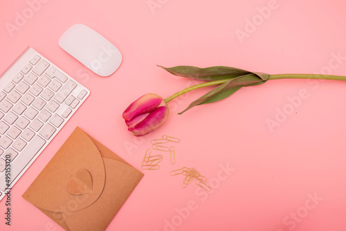 Sfondo rosa con tulipano e tastiera photo