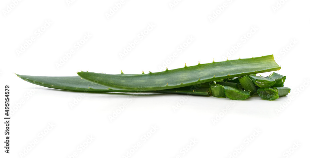 Green aloe leaves cut into pieces. Green aloe leaves cut into pieces.