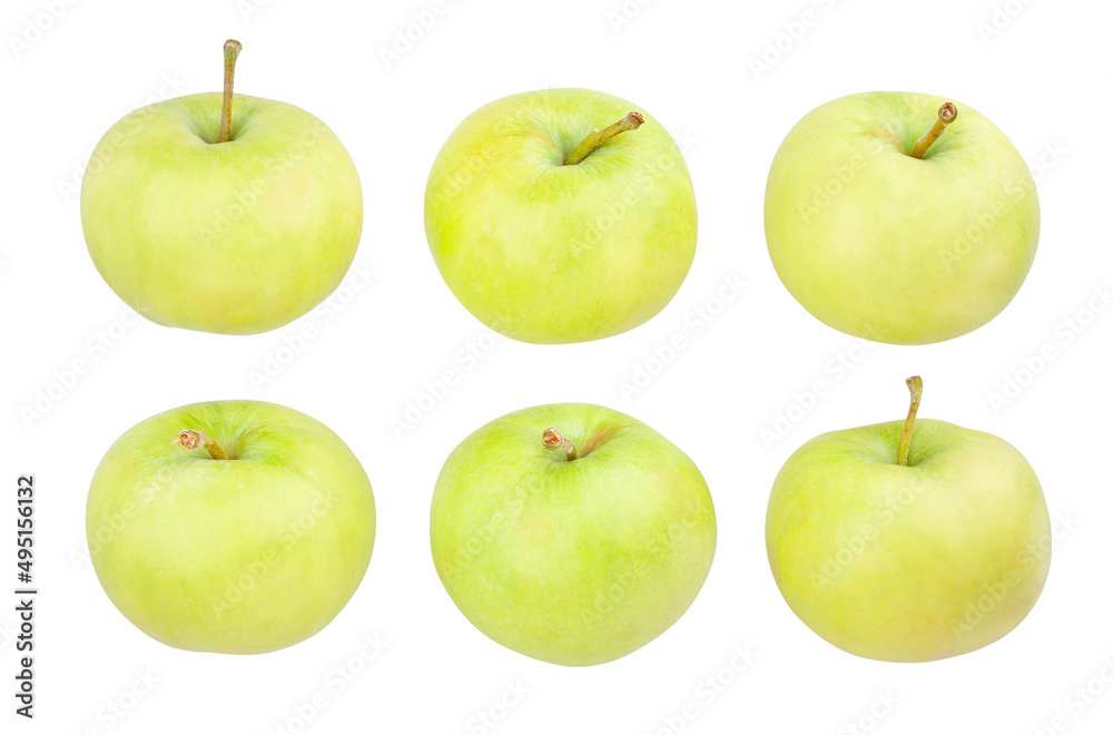 white apple path isolated on white white apple path isolated on white