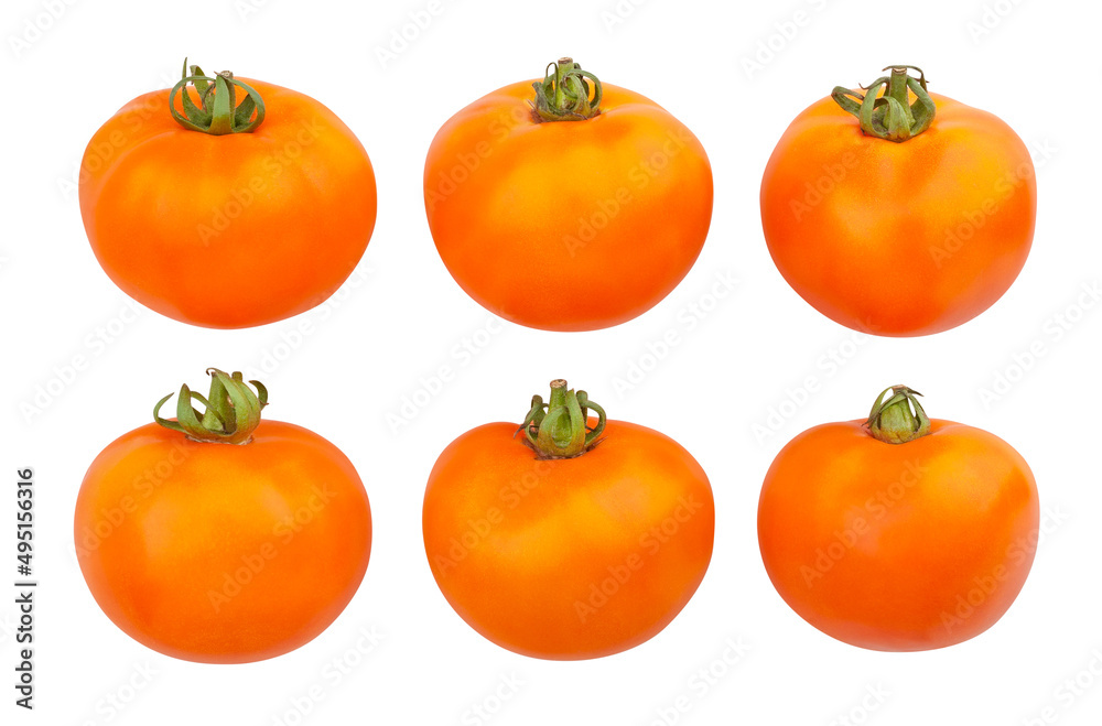 orange tomato path isolated on white orange tomato path isolated on white