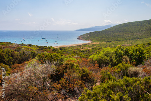 Slika na platnu Corsican scrubland overhanging the coasts and beaches of Corsica near the Medite
