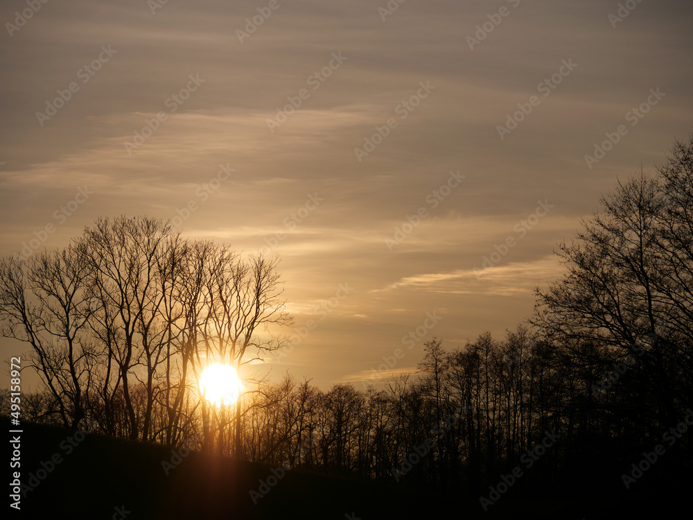 Die Sonne hinter Bäumen (Silhouetten) am Abend Die Sonne hinter Bäumen (Silhouetten) am Abend