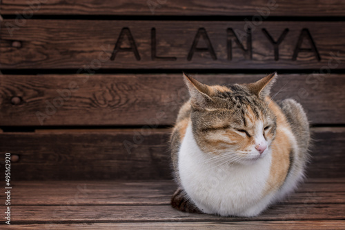 Photography Wooden houses-feeders for animals in the park of Alanya Turkey.