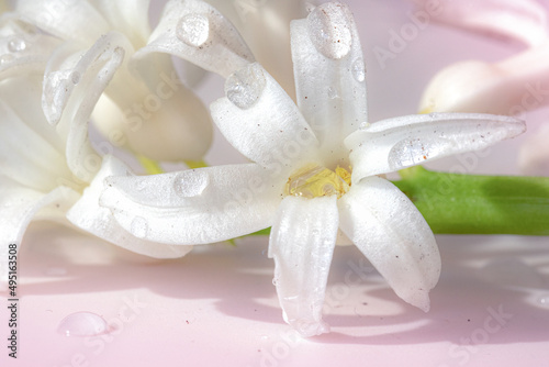 
Close-up of white spring flowers hyacints with water drops photo
