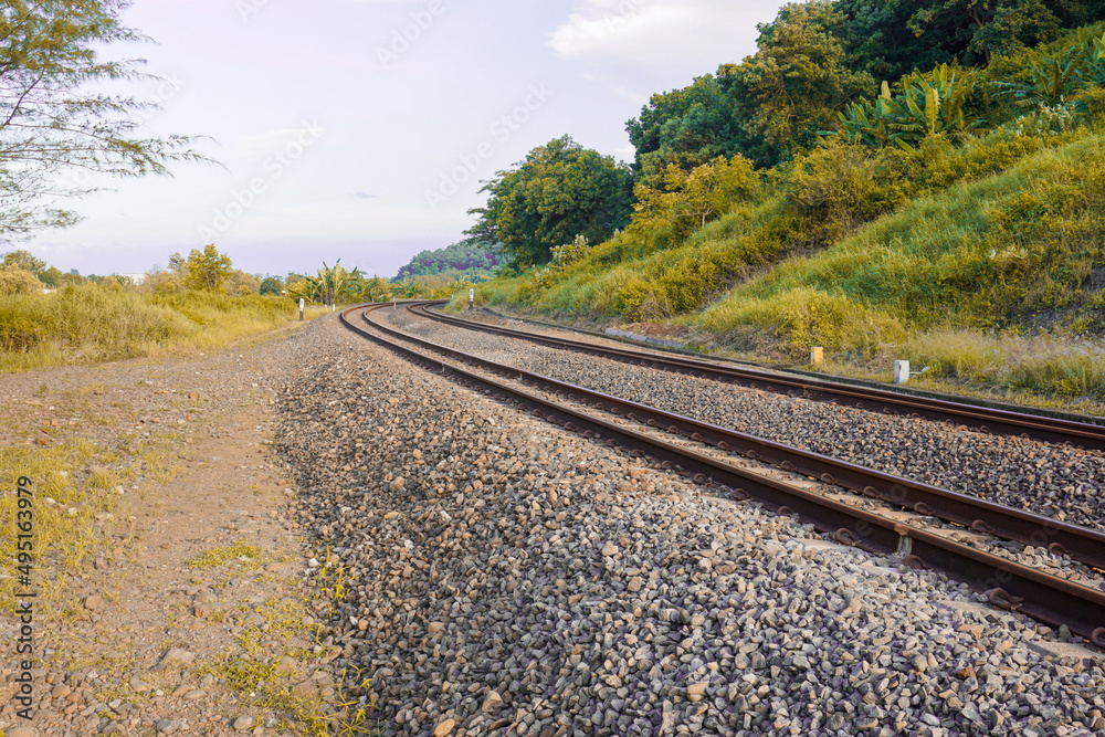The railroad tracks pass through the forest track and the green trees on the sides The railroad tracks pass through the forest track and the green trees on the sides