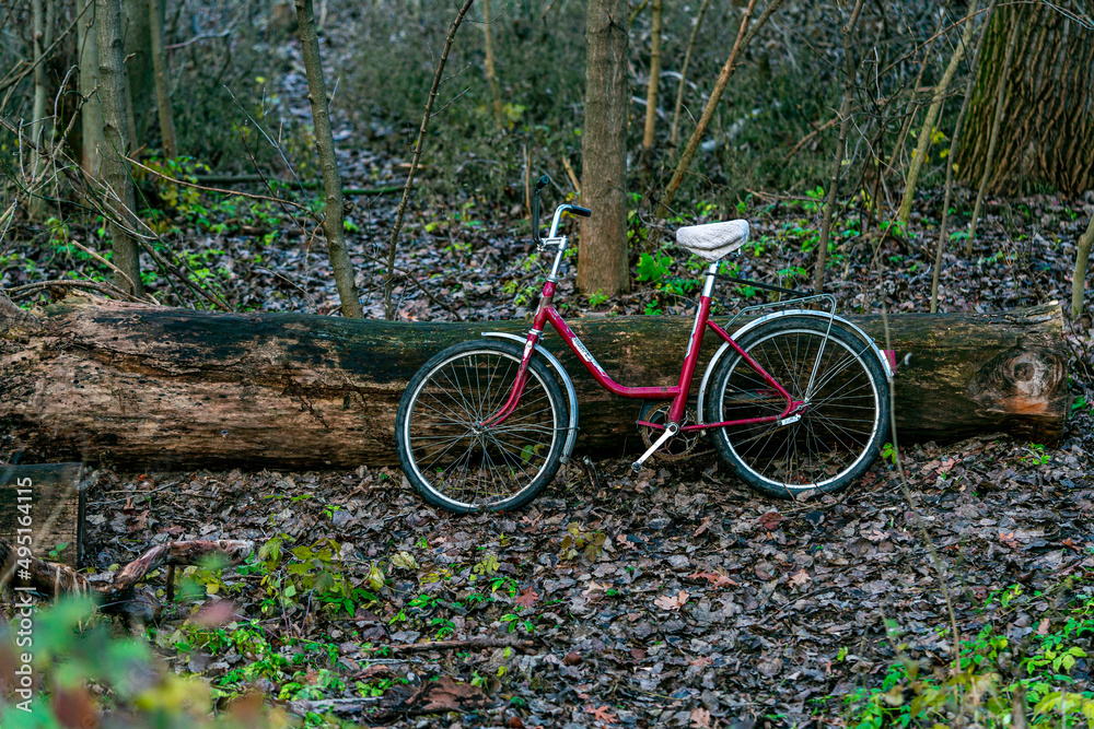 red bicycle in the park, abandoned place, Slovakia