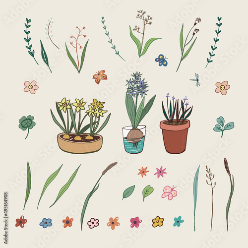 flowers and herbs vector line illustrations set