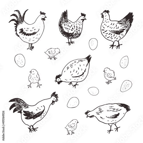 Chicken, chicks, eggs vector illustrations line set