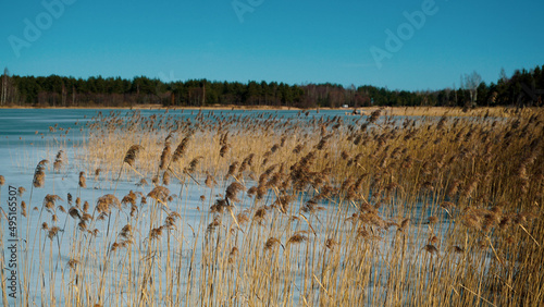 Frozen lake