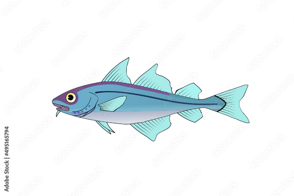 fish fish