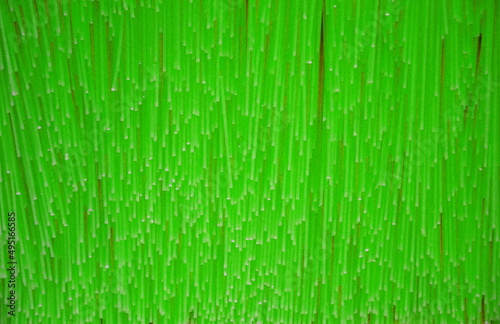 green striped background. abstract Art.
 textured. backdrop. decorative