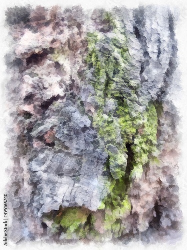The texture of the bark on the tree watercolor style illustration impressionist painting.