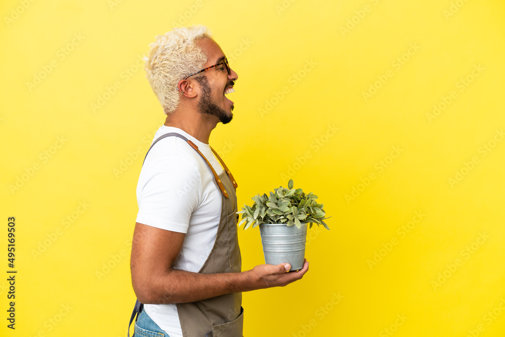 Young Colombian man holding a plant isolated on yellow background laughing in lateral position Young Colombian man holding a plant isolated on yellow background laughing in lateral position