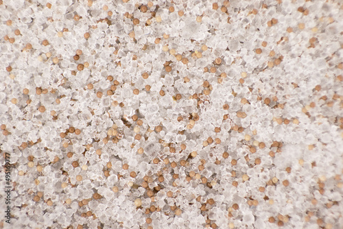Brine shrimp - Artemia ready mix live food. Ready mix of artemia larvae eggs, salt and microalgae. Macro close up photography