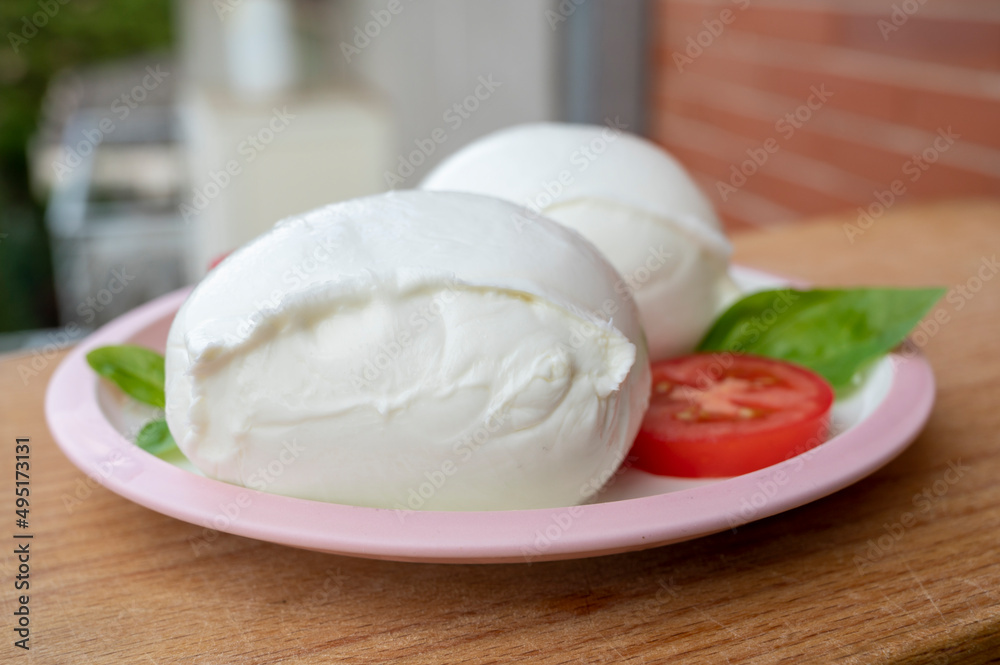 White ball of Italian soft cheese Mozzarella di Bufala Campana with fresh green basil and red tomato