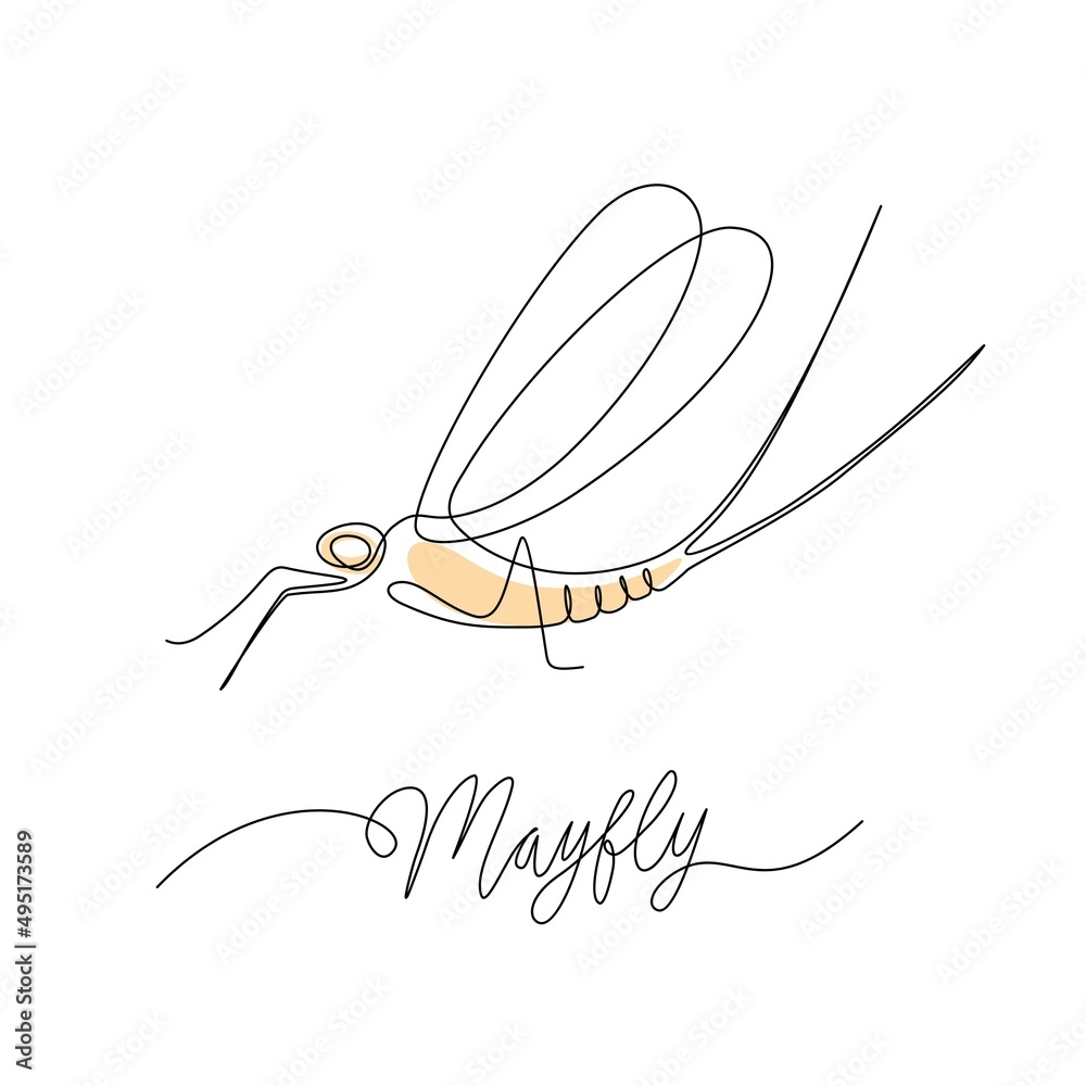 Single line drawing of a mayfly, isolated on a white background. vector ...