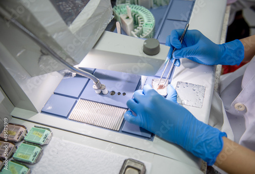 Obraz na plátne Medical scientists are preparing pathological biopsy slides for pathologists to diagnose the results