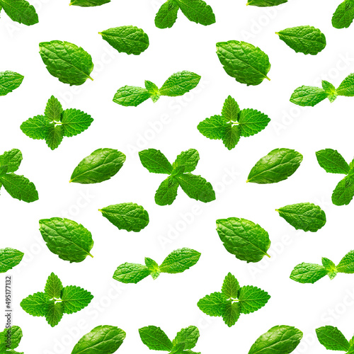 Seamless pattern of fresh mint leaves on white background for packaging design. peppermint abstract background.