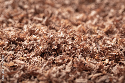 Wallpaper Mural Walnut sawdust close-up. Torontodigital.ca