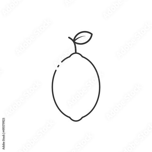 Outline icon of lime vector illustration