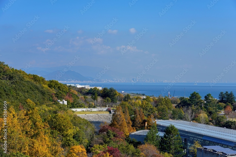 展望台から見た神戸の遠景と紅葉のコラボ情景＠淡路島、兵庫