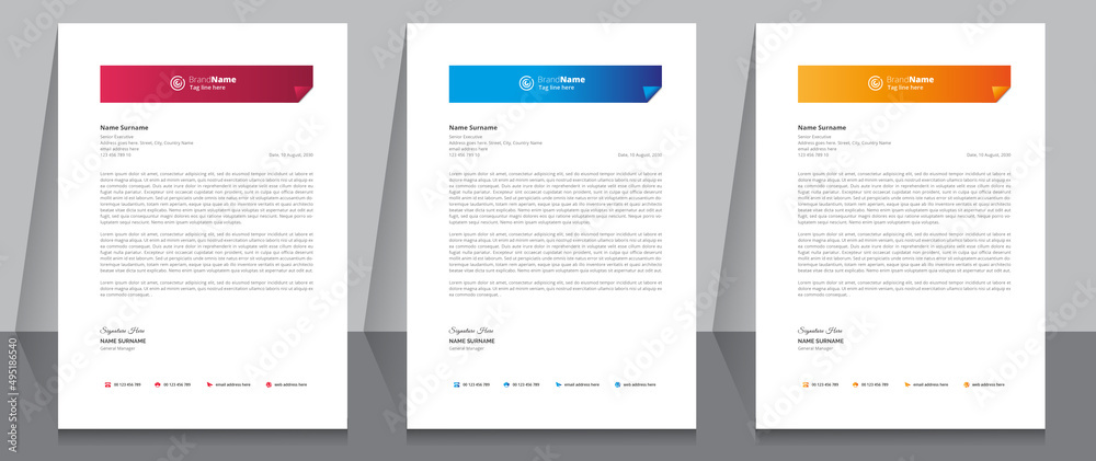 Letterhead Format Template, Business Style Letterhead Design Template. Company Letterhead Template Designs.