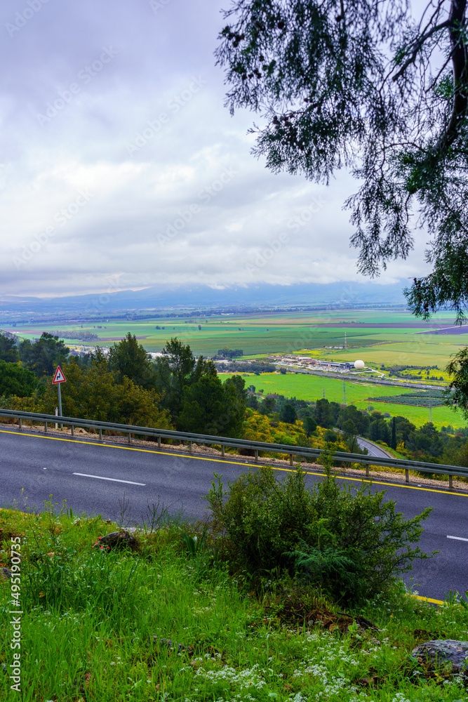 Hula Valley, on a foggy winter day