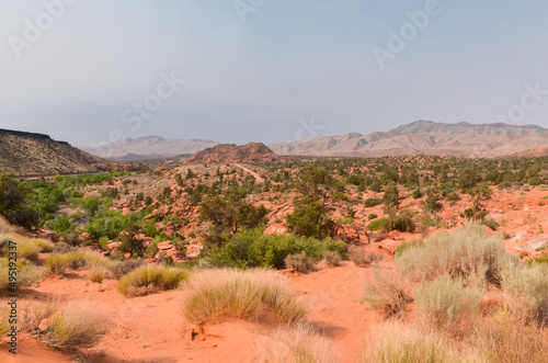 red sand dunes in Gunlock State Park (Washington County, Utah)