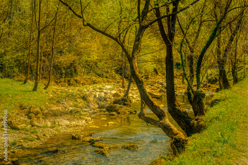 Calm water of mountain river passing by under forest surroundings.