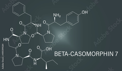 Beta-casomorphin peptide 7 molecule. Breakdown product of casein that may play a role in human diseases. Skeletal formula.