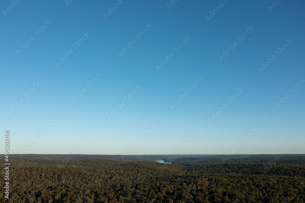 Wellington National Park showing forest and Wellington Dam in the distance