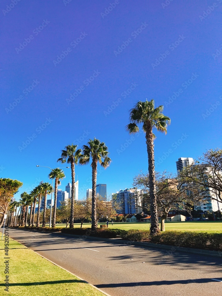 Fototapeta premium 街