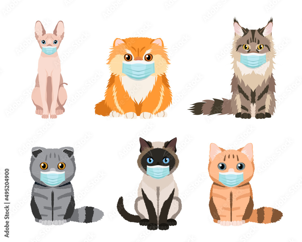 Set of cats wearing protective face masks. Collection of vector illustrations isolated on white background. Flat design Set of cats wearing protective face masks. Collection of vector illustrations isolated on white background. Flat design