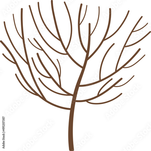 Tree with Bare Crown Colored Illustration