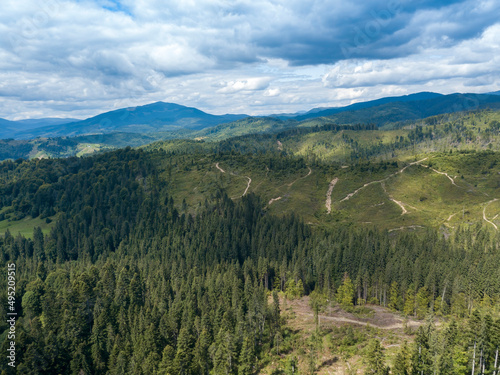 Green mountains of Ukrainian Carpathians in summer. Coniferous trees on the slopes. Aerial drone view. © Sergey